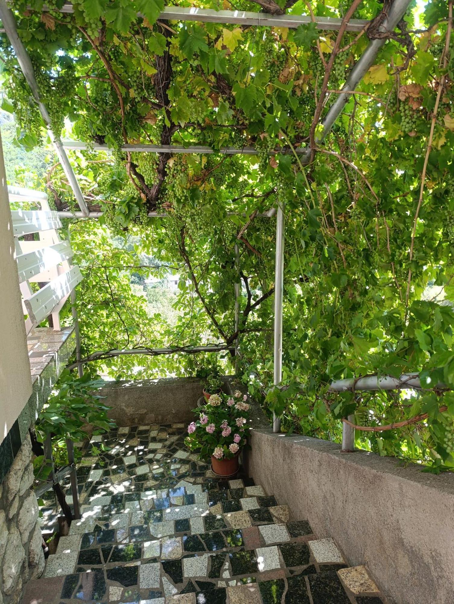 Apartment Rita Senj  Exterior foto